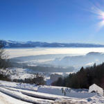 letztes schönes Breitbildfoto mit Blick auf den Zürichsee. Eine sehr schöne Schneeschuhtour geht zu Ende