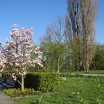 die Natur im Frühling ist einfach traumhaft