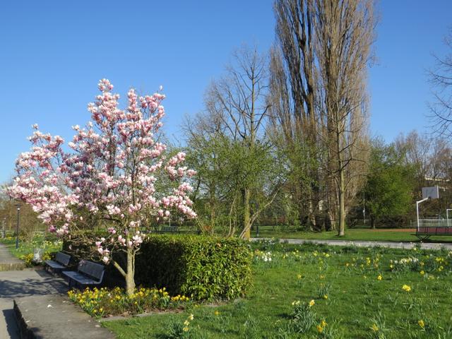 die Natur im Frühling ist einfach traumhaft