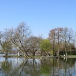 der öffentliche Park beim Schloss St.Andreas ist sehr schön