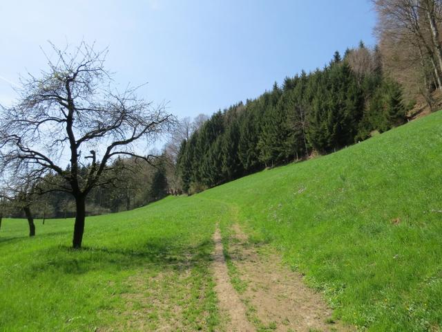 weiter geht es nun zur Kapelle Michaelskreuz