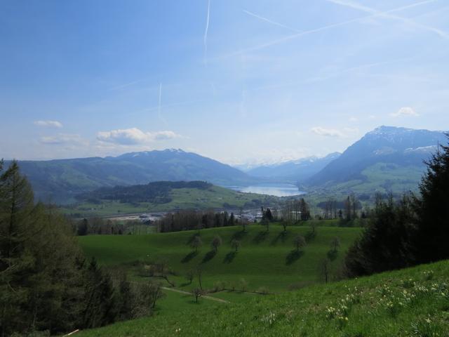 Blick auf den Zugersee, Richtung Arth Goldau