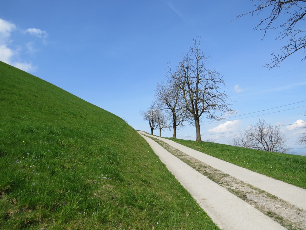 vorbei an Punkt 748 m.ü.M. geht es gemütlich aufwärts zur Michaelskapelle