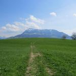 bei Hasli 642 m.ü.M. laufen wir mit Blick auf die Rigi, Richtung Haltikon