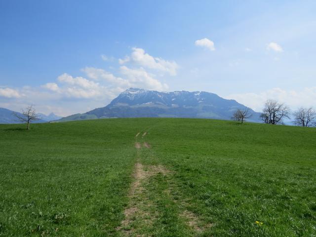 bei Hasli 642 m.ü.M. laufen wir mit Blick auf die Rigi, Richtung Haltikon