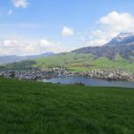 Blick auf die Bucht des Vierwaldstättersee mit Küsnacht am Rigi