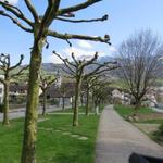 an der Seepromenade entlang geht es nun im alten Dorfkern von Küsnacht am Rigi