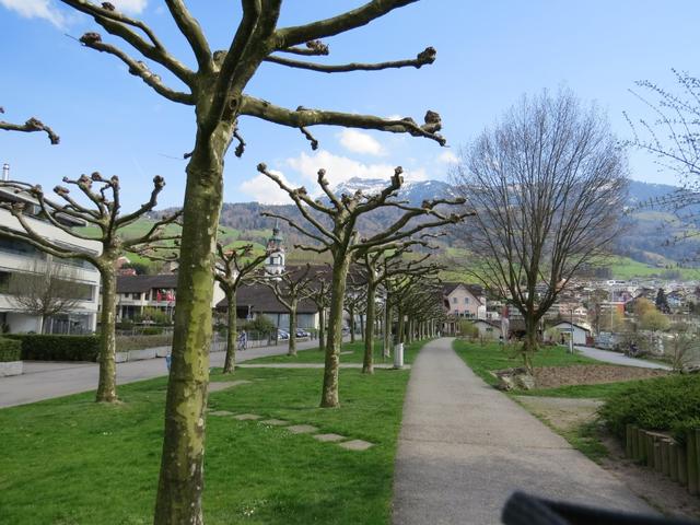 an der Seepromenade entlang geht es nun im alten Dorfkern von Küsnacht am Rigi