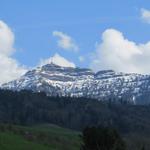 Blick hinauf zur Rigi