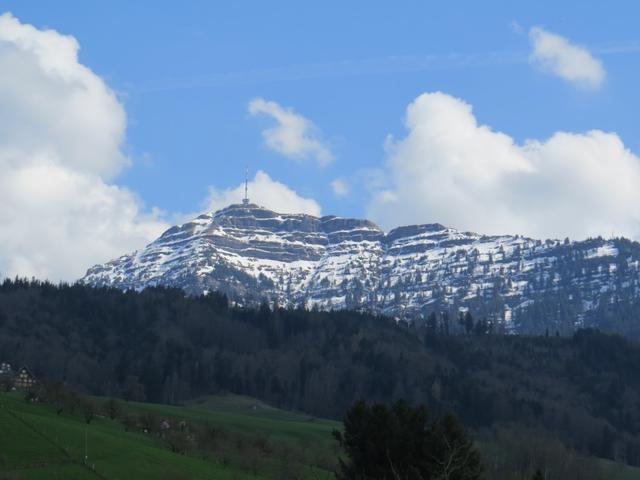 Blick hinauf zur Rigi