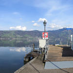 schönes Breitbildfoto bei der Schiffshaltestelle Immensee