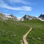 Bergwanderung Leukerbad - Restipass - Lauchernalp 29.6.2015