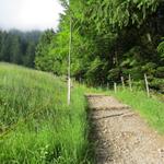 bei Rütlersplangg 1192 m.ü.M. führt der Wanderweg in den Wald hinein