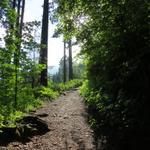 über zahlreiche Kurven, führt der Wanderweg aufwärts Richtung Rigi Staffel