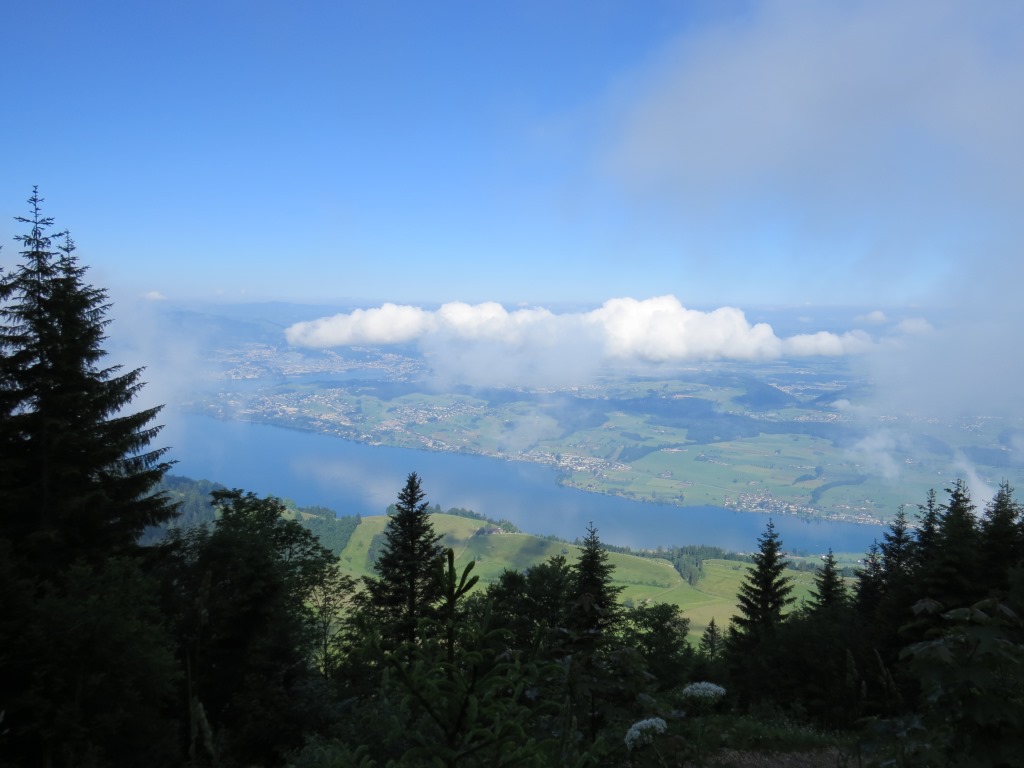 Blick hinunter zum Küssnachtersee