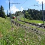 entlang der Geleise der Rigibahn, führt uns unsere heutige Wanderung weiter aufwärts