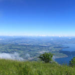 schönes Breitbildfoto mit Blick auf den Zugersee. Bei Breitbildfotos immer zusätzlich auf Vollgrösse klicken