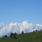 unglaublich! von hier aus, sieht man den Mönch, Schreckhorn und Lauteraarhorn