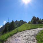 was für ein schöner Tag um auf die Königin der Berge, (so wird die Rigi genannt) zu wandern