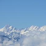 Blick zum Lauteraarhorn und Schreckhorn