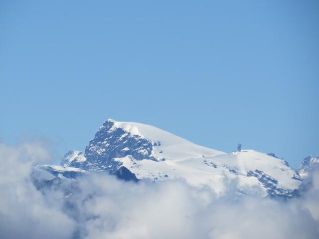 Blick in die Zentralschweiz zum Titlis