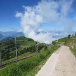 wandern wir wieder abwärts Richtung Rigi Staffel