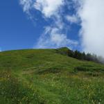 die Wanderung führt nun, kurz nach Rigi Staffel, hinauf zum Rotstock