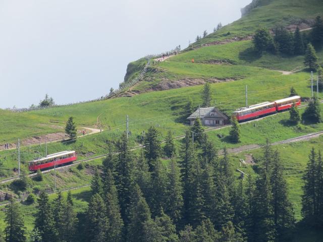 Blick auf die Zahnradbahn die auf die Rigi führt