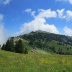 Blick zurück und hinauf zur Rigi