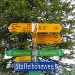 Wegweiser auf Rigi-Staffelhöhe 1550 m.ü.M. Unsere Wanderung geht weiter Richtung Chänzeli