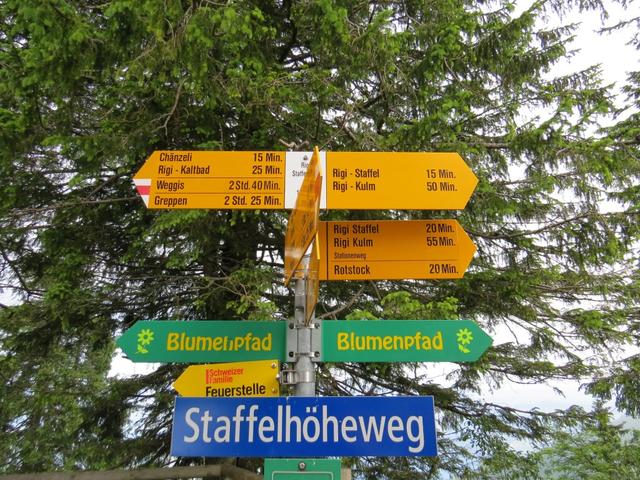 Wegweiser auf Rigi-Staffelhöhe 1550 m.ü.M. Unsere Wanderung geht weiter Richtung Chänzeli