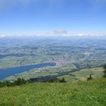 Blick auf den Küssnachtersee und Küssnacht am Rigi