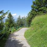 über einen breiten und einfachen Wanderweg geht es zum Chänzeli