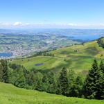 schönes Breitbildfoto mit Küssnachtersee, Küssnacht am Rigi, Seebodenalp und Zugersee