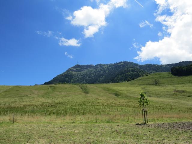 Blick hinauf auf die Rigi. Die Rundwanderung geht nun seinem Ende zu