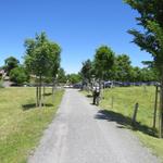 wir haben den grossen Parkplatz auf der Seebodenalp Seebodenalp 1020 m.ü.M. erreicht