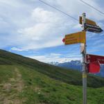 die heutige Wanderung kann beginnen. Unser heutiges Ziel lautet: Lauchernalp