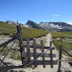 beim lieblichen Übergang bei Punkt 2397 m.ü.M.