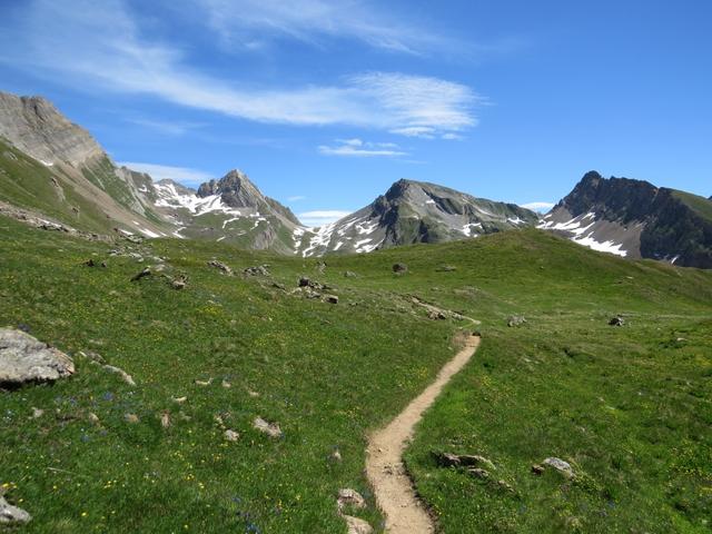 hier hat man das Gefühl der Wanderweg führt direkt hinauf zum Restipass