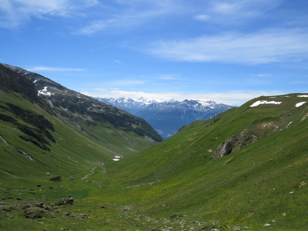 Blick über die Bachalp zu den 4000er der Walliser Hochalpen