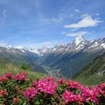 was für ein schöner Wandertag, was für eine Aussicht