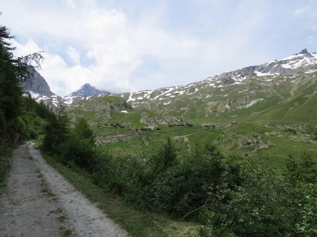 vor uns taucht die Kummenalp mit dem gleichnamigen Gasthaus auf