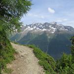 wir wandern weiter über einen schönen Höhenweg Richtung Lauchernalp