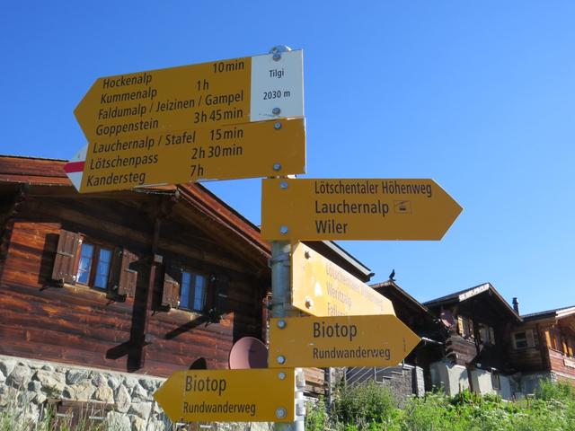 Wegweiser auf der Lauchernalp 2030 m.ü.M.