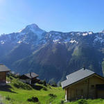 schönes Breitbildfoto von der Lauchernalp aus gesehen, mit Blick auf das Bietschhorn