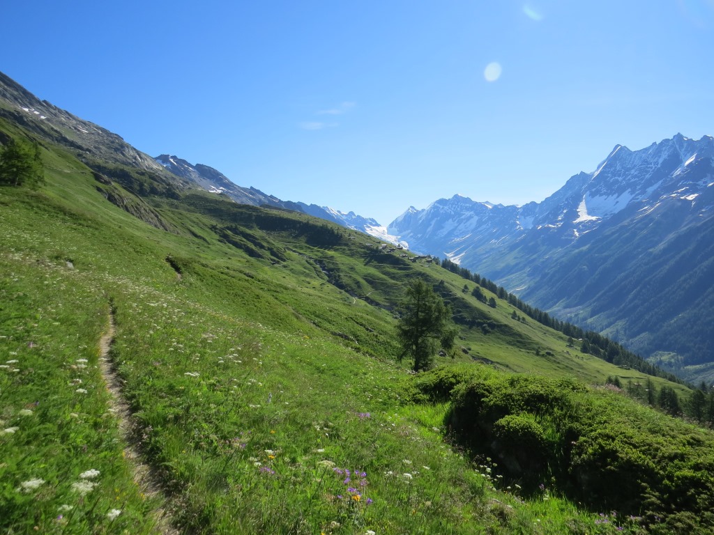 auf einem angenehm zu gehender Alpweg geht es Richtung Weritzalp