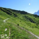 hinter dieser Geländekuppe befindet sich das Dörfchen Weritzalp