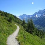 weiter geht unsere sehr schöne Wanderung auf dem Lötschentaler Höhenweg