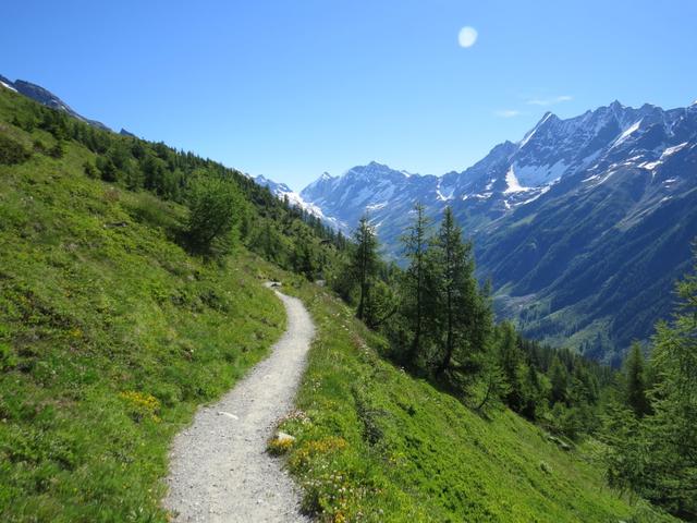 weiter geht unsere sehr schöne Wanderung auf dem Lötschentaler Höhenweg