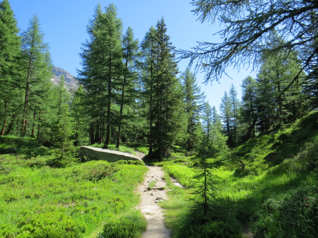 kurz vor der Tellialp bei Punkt 2001 m.ü.M.